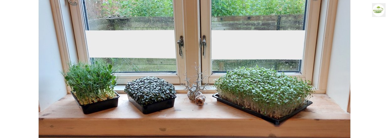 Det skal v�re nemt 