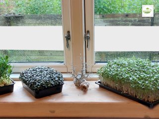 Det skal v�re nemt 