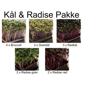 Kl & Radise pakke (14 stk)