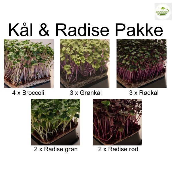 Kl &amp; Radise pakke (14 stk)