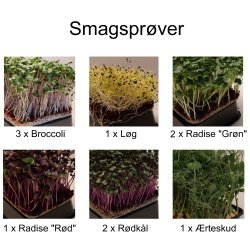 Smagsprve pakke (10 stk)