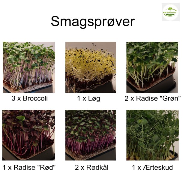 Smagsprve pakke (10 stk)