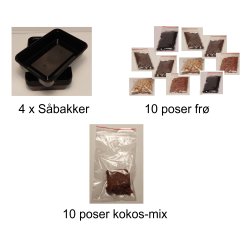 Smagsprve pakke (10 stk)