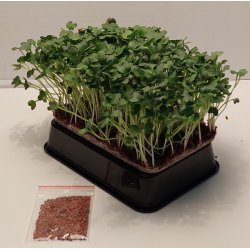 Radisespirer Gr�n pakke