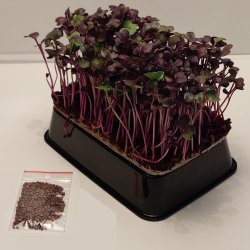 Radisespirer R�d pakke