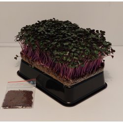 R�dk�lsspirer pakke