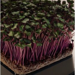 R�dk�lsspirer pakke